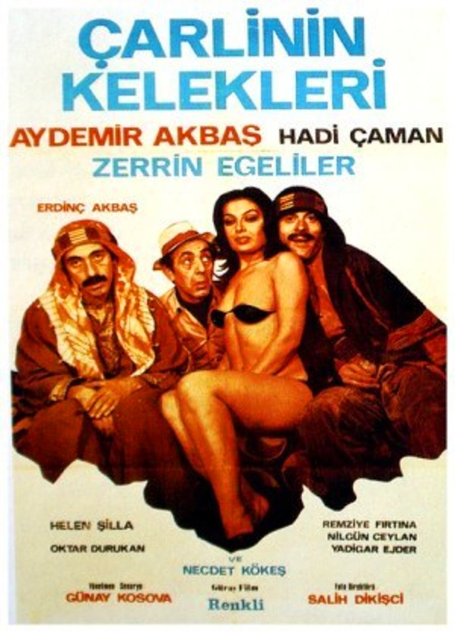 Türk erotik filmleri